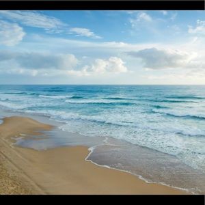 Meet your Posher, Keeley